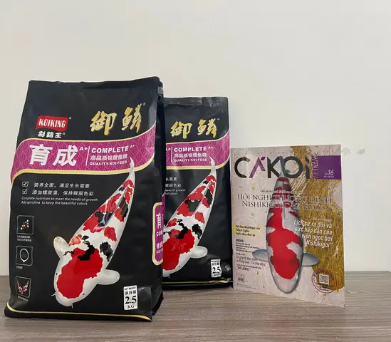 Bán Cá Koi Trung Quốc Bán Cá Koi Trung Quốc