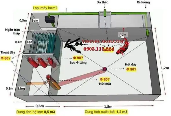 Bản Vẽ Thiết Kế Hồ Cá Koi