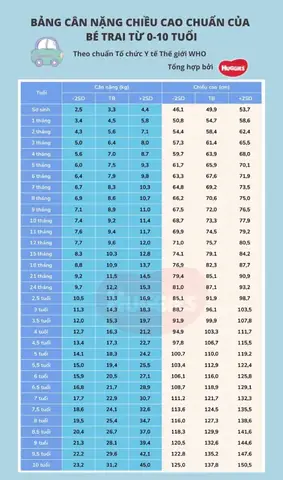 Bảng Đo Vòng Đầu Trẻ Sơ Sinh Bảng Đo Vòng Đầu Trẻ Sơ Sinh