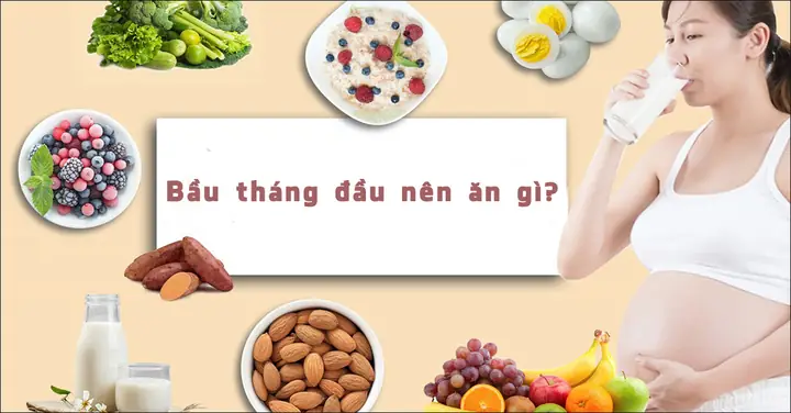 Bầu 1 Tháng Ăn Gì Tốt Bầu 1 Tháng Ăn Gì Tốt