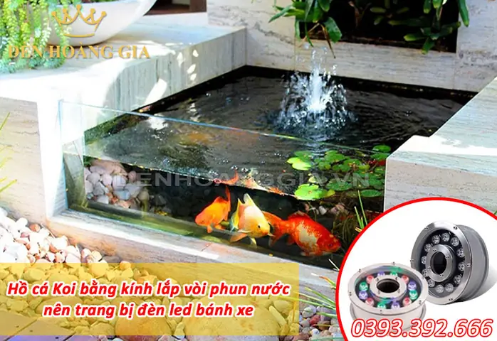 Bể Cá Koi Bằng Kính Bể Cá Koi Bằng Kính