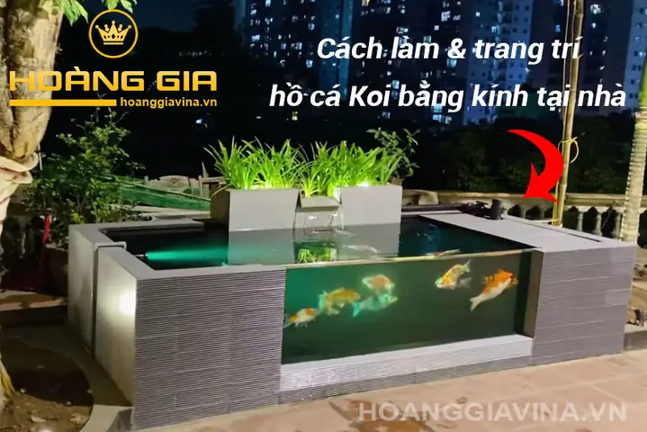 Bể Cá Koi Bằng Kính Bể Cá Koi Bằng Kính