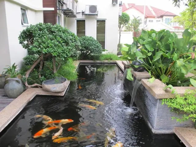 Bể Cá Koi Hiện Đại Bể Cá Koi Hiện Đại