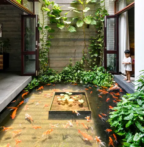 Bể Cá Koi Mini Trong Nhà