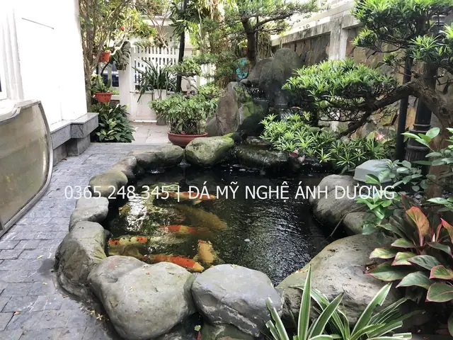 Bể Cá Koi Mini Trong Nhà