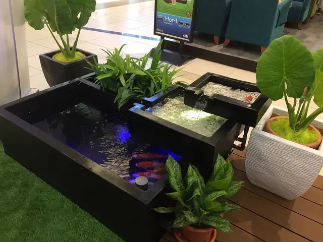 Bể Cá Koi Mini Trong Nhà