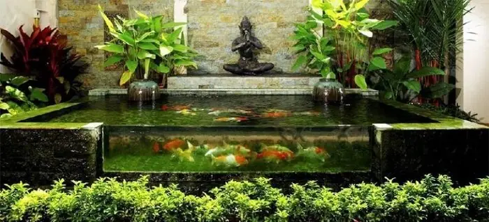 Bể Cá Koi Mini Trong Nhà