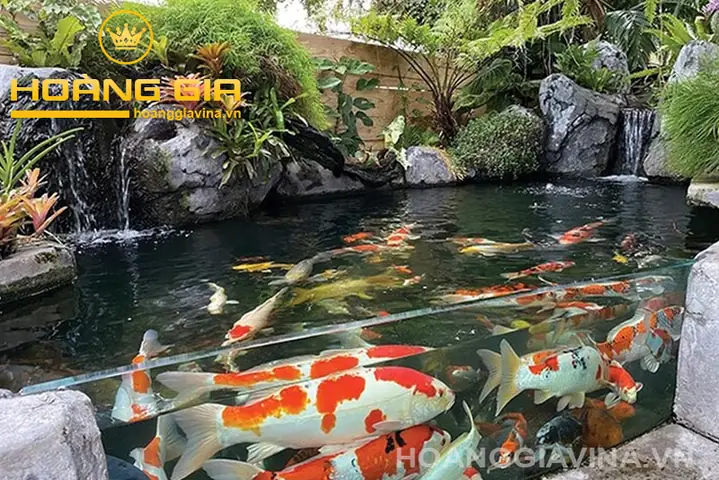 Bể Kính Cá Koi Đẹp Bể Kính Cá Koi Đẹp