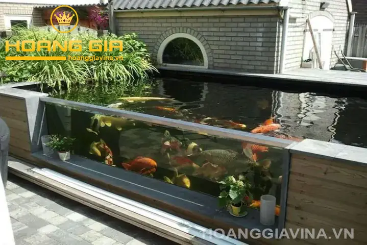 Bể Kính Cá Koi Đẹp Bể Kính Cá Koi Đẹp