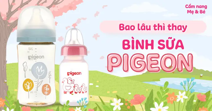 Bình Sữa Pigeon Dùng Được Bao Lâu Bình Sữa Pigeon Dùng Được Bao Lâu