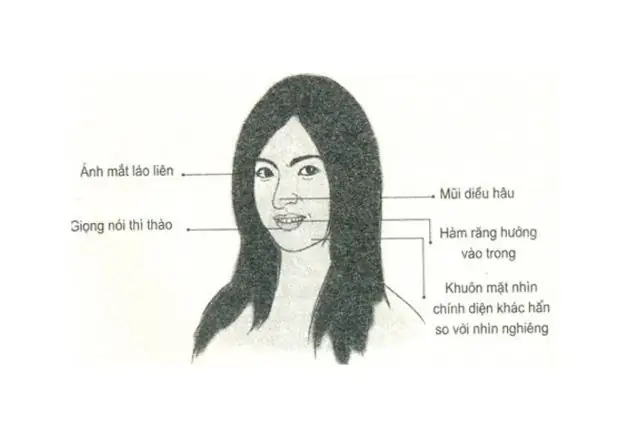 Bói Tướng Mặt Phụ Nữ Bói Tướng Mặt Phụ Nữ