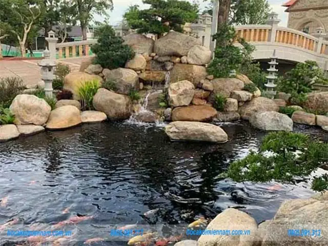 Cá Koi Bao Nhiêu Cá Koi Bao Nhiêu