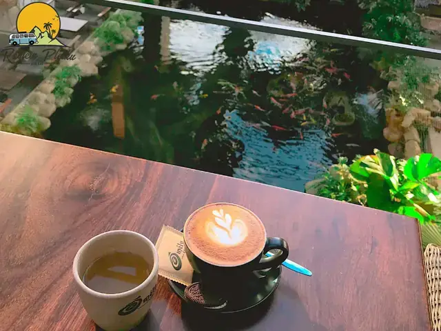 Cá Koi Gia Lai