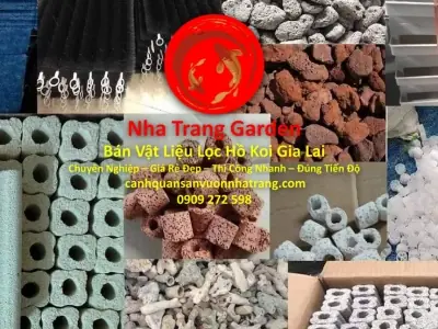 Cá Koi Gia Lai