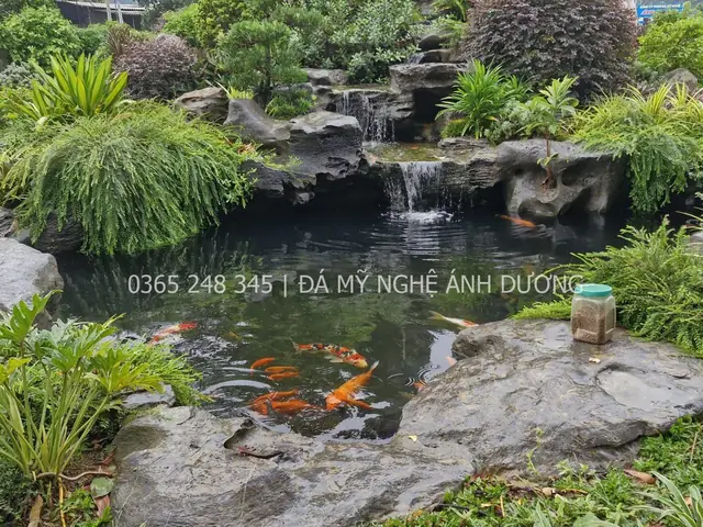 Cá Koi Hải Phòng Cá Koi Hải Phòng