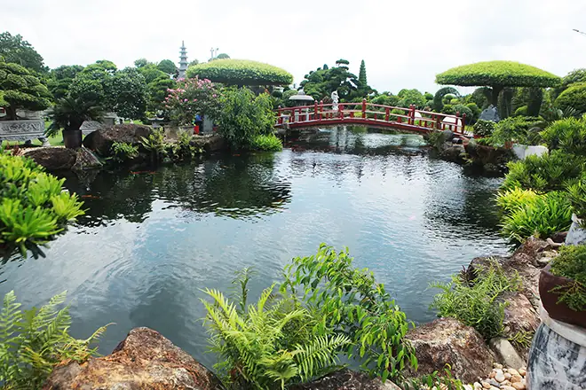 Cá Koi Lớn Nhất Cá Koi Lớn Nhất