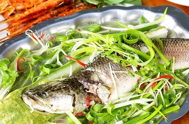 Cách Làm Cá Lóc Hấp Mỡ Hành Thơm Ngon Chuẩn Vị Cuốn Bánh Tráng Cách Làm Cá Lóc Hấp Mỡ Hành Thơm Ngon Chuẩn Vị Cuốn Bánh Tráng