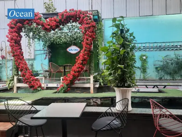 Cà Phê Cá Koi Hóc Môn Cà Phê Cá Koi Hóc Môn