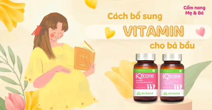 Các Giai Đoạn Bổ Sung Vitamin Cho Bà Bầu Các Giai Đoạn Bổ Sung Vitamin Cho Bà Bầu