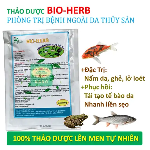 Các Loại Bệnh Cá Koi Các Loại Bệnh Cá Koi