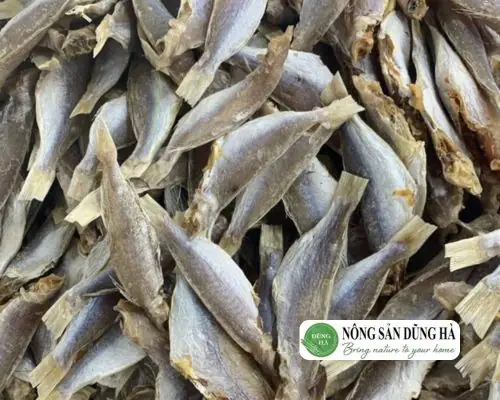 Top 10+ Các Loại Cá Biển Khô Ngon, Thơm Phổ Biến Nhất Hiện Nay Top 10+ Các Loại Cá Biển Khô Ngon, Thơm Phổ Biến Nhất Hiện Nay