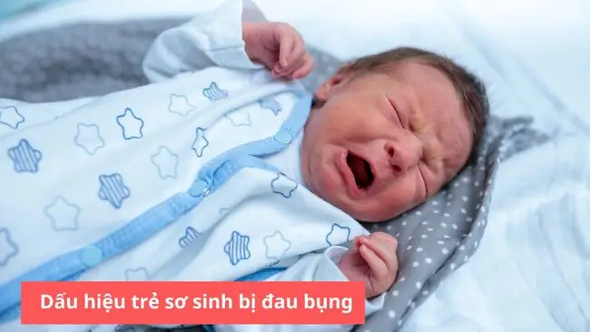 Các Loại Đau Bụng Ở Trẻ Các Loại Đau Bụng Ở Trẻ