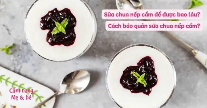 Cách Bảo Quản Sữa Chua Nếp Cẩm Tự Làm Cách Bảo Quản Sữa Chua Nếp Cẩm Tự Làm