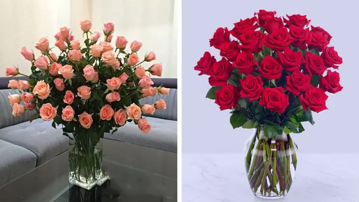 Cách Cắm Lọ Hoa Hồng Để Bàn Cách Cắm Lọ Hoa Hồng Để Bàn