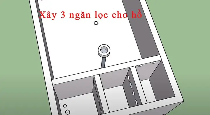 Cách Làm Bể Cá Koi Cách Làm Bể Cá Koi
