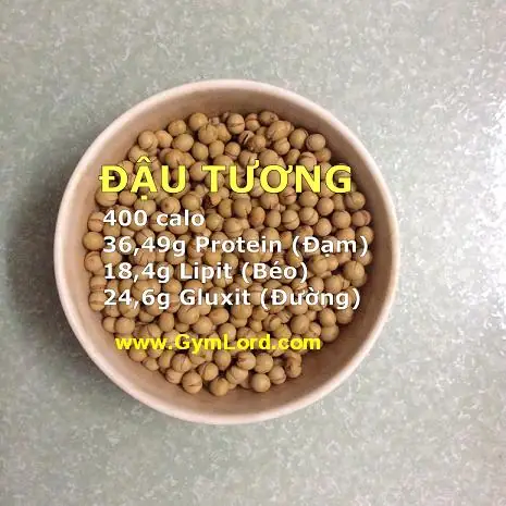 Cách Làm Bột Đậu Gymlord Chuẩn Công Thức Cho Người Tập Gym Tăng Cơ, Tăng Cân Cách Làm Bột Đậu Gymlord Chuẩn Công Thức Cho Người Tập Gym Tăng Cơ, Tăng Cân