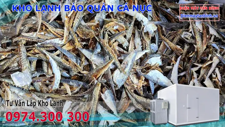 Cách Làm Cá Nục Phơi Khô Tại Nhà: Hướng Dẫn Chi Tiết Từ A-z Cách Làm Cá Nục Phơi Khô Tại Nhà: Hướng Dẫn Chi Tiết Từ A-z