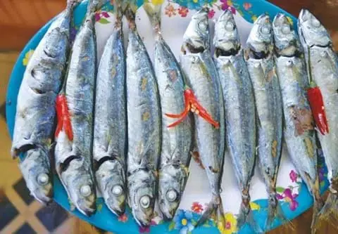 Cách Làm Cá Nục Phơi Khô Tại Nhà: Hướng Dẫn Chi Tiết Từ A-z Cách Làm Cá Nục Phơi Khô Tại Nhà: Hướng Dẫn Chi Tiết Từ A-z