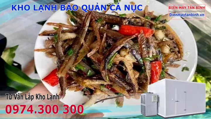 Cách Làm Cá Nục Phơi Khô Tại Nhà: Hướng Dẫn Chi Tiết Từ A-z Cách Làm Cá Nục Phơi Khô Tại Nhà: Hướng Dẫn Chi Tiết Từ A-z