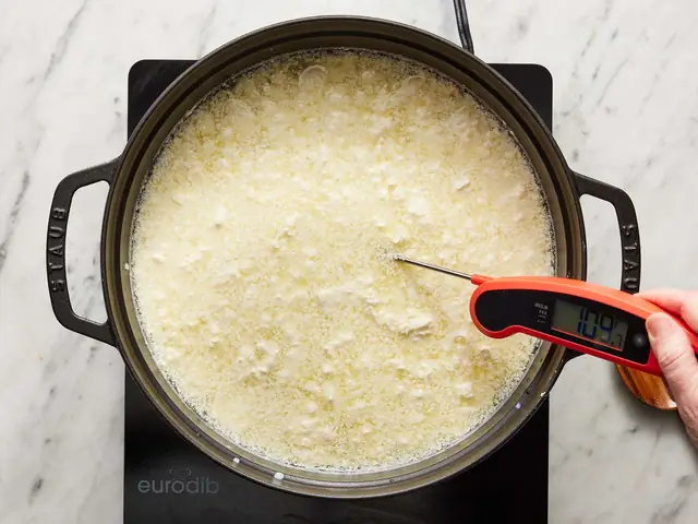 Hướng Dẫn Làm Phô Mai Mozzarella Kéo Sợi Đơn Giản Tại Nhà Với 2-3 Nguyên Liệu Hướng Dẫn Làm Phô Mai Mozzarella Kéo Sợi Đơn Giản Tại Nhà Với 2-3 Nguyên Liệu