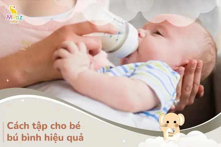 Cách Tập Cho Bé Bú Bình Hiệu Quả Cách Tập Cho Bé Bú Bình Hiệu Quả