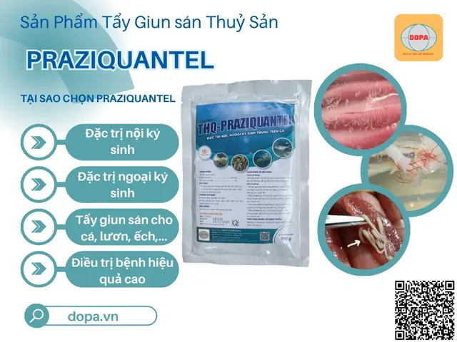 Cách Tẩy Giun Cho Cá Koi Cách Tẩy Giun Cho Cá Koi