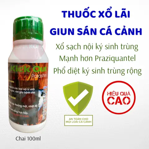 Cách Tẩy Giun Cho Cá Koi Cách Tẩy Giun Cho Cá Koi