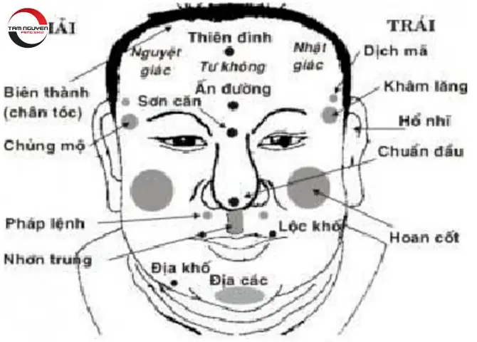 Cách Xem Tướng Mặt Đoán Vận Mệnh