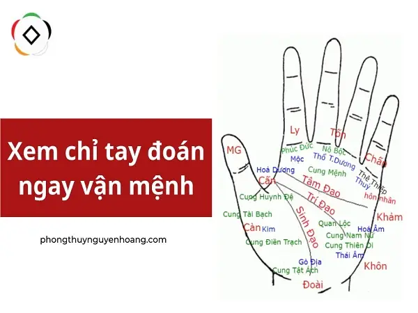 Cách Xem Tướng Số Bằng Vân Tay