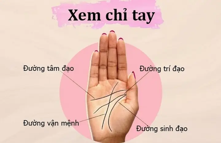 Cách Xem Tướng Số Bằng Vân Tay