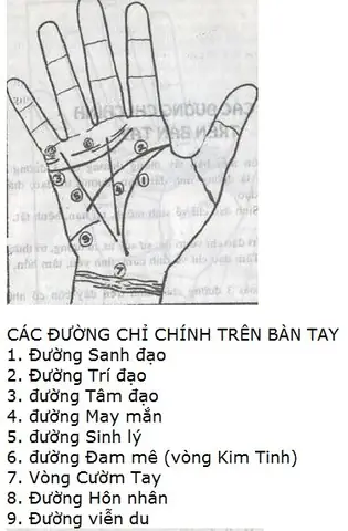 Cách Xem Tướng Số Qua Đường Chỉ Tay Cách Xem Tướng Số Qua Đường Chỉ Tay