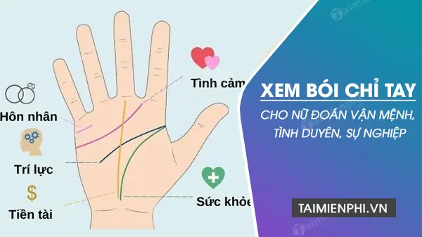 Cách Xem Tướng Số Qua Đường Chỉ Tay Cách Xem Tướng Số Qua Đường Chỉ Tay