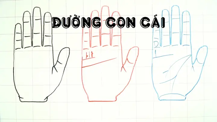 Cách Xem Tướng Số Qua Đường Chỉ Tay Cách Xem Tướng Số Qua Đường Chỉ Tay