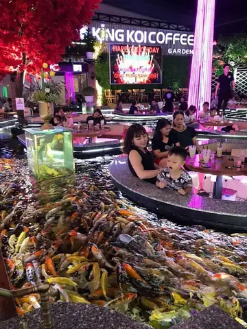 Cafe Cá Koi Ở Bình Dương