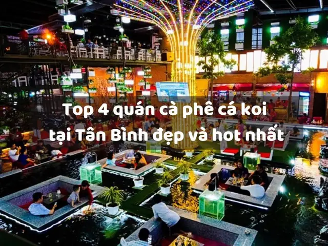 Cafe Cá Koi Quận Bình Tân Cafe Cá Koi Quận Bình Tân