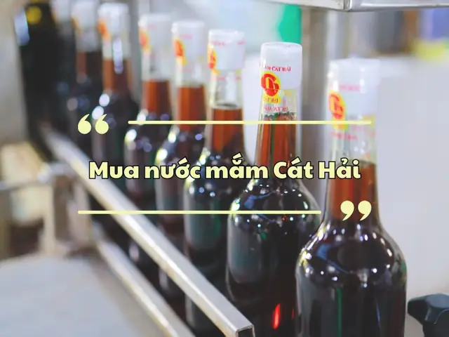 Cát Hải Ở Đâu Cát Hải Ở Đâu