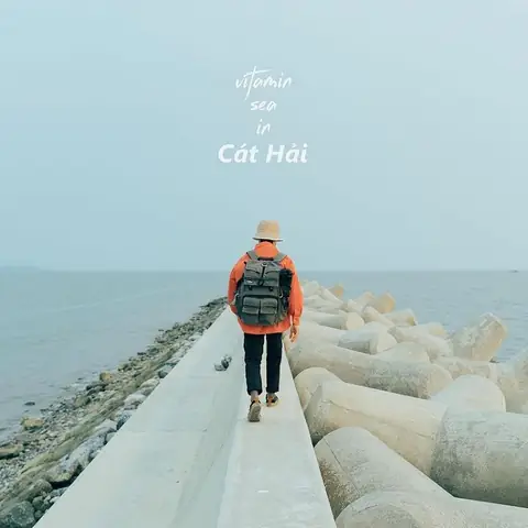 Cát Hải Ở Đâu Cát Hải Ở Đâu