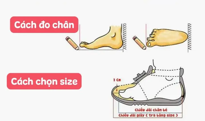 Chân Bé 1 Tuổi Dài Bao Nhiêu Cm