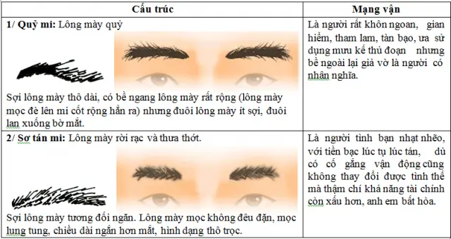 Chân Mày Theo Tướng Số Chân Mày Theo Tướng Số
