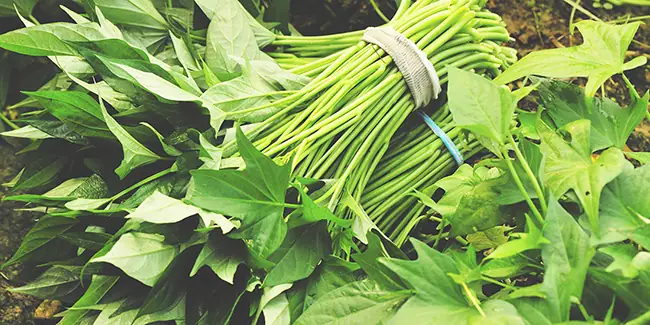 Cháo Rau Khoai Lang Cho Bé Ăn Dặm Cháo Rau Khoai Lang Cho Bé Ăn Dặm